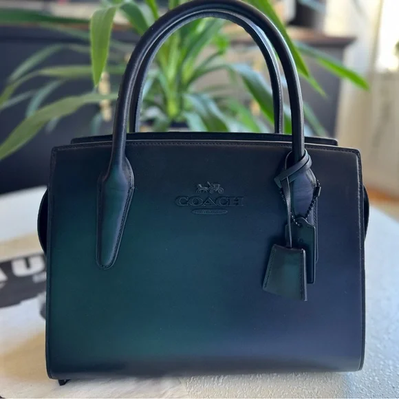 Large Andrea Carryall Bag, Used Once - Picture 8 of 9